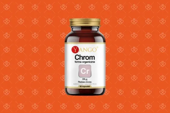 Chrom organiczny pikolinian chromu Yango