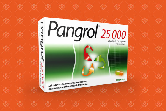 Pangrol 25 000, lek bez recepty, 20 kapsułek