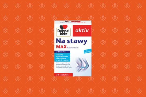 Doppelherz aktiv Na stawy MAX