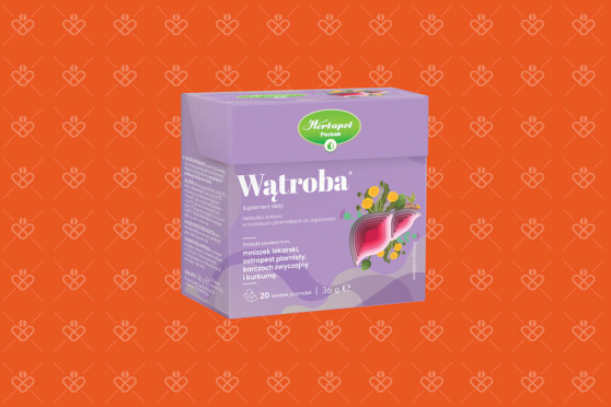 Wątroba herbata funkcjonalna, 20 torebek piramidek