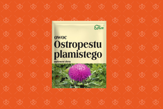 Ostropest plamisty owoc 100 g, Flos