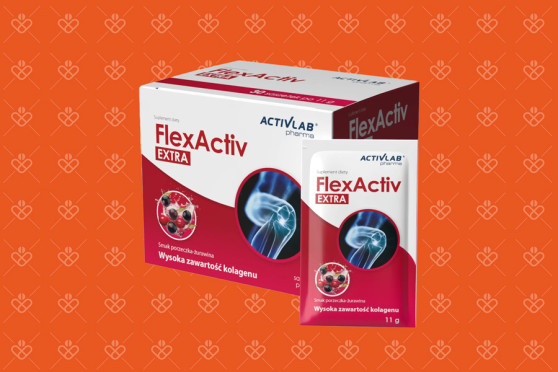FlexActiv Extra porzeczkowo żurawinowy, saszetki na stawy30 saszetek