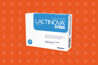 Lactinova Stres, psychobiotyk, 28 kapsułek
