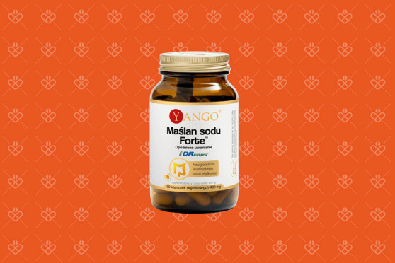 Yango Maślan Sodu Forte, 360 mg, 90 kapsułek o opóźnionym uwalnianiu