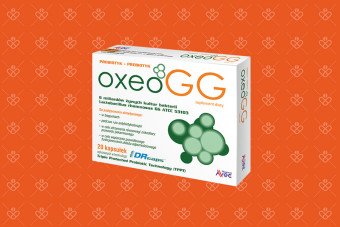 Oxeo GG, probiotyk zawierający szczep Lactobacillus rhamonosus GG ATCC53103, 20 kapsułek, LGG