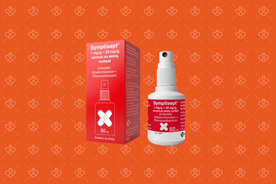Symplisept spray 50 ml - lek na drobne rany dla dzieci i dla dorosłych, zamiennik Octeniseptu