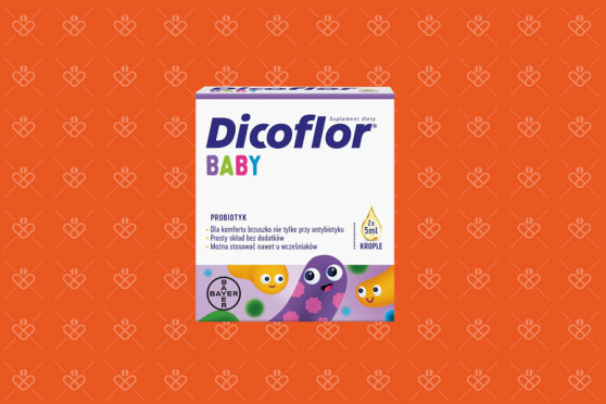 Dicoflor Baby 2 butelki po 5 ml - probiotyk do antybiotyku dla dzieci i niemowląt