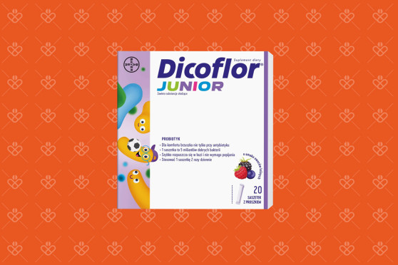 Dicoflor Junior 20 saszetek duże opakowanie probiotyku do antybiotyku dla dzieci