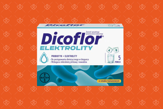 Dicoflor na wymioty i biegunkę - probiotyk i elektrolity w saszetkach