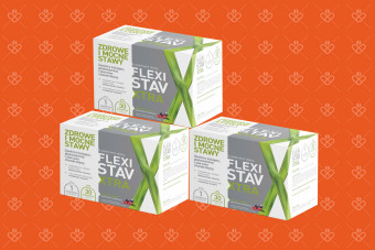 Zestaw FlexiStav Xtra 3x30 (90 saszetek) – na 3 miesiące stosowania