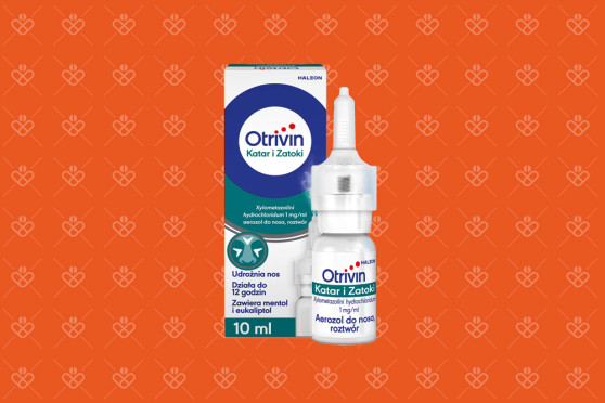 Otrivin Katar i Zatoki 1 mg/ml aerozol do nosa z aplikatorem, opakowanie 10 ml