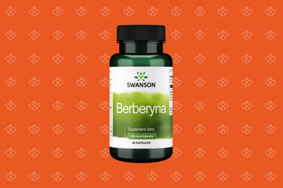 Swanson Berberyna 400 mg 60 kapsułek – berberyna HCl z korzenia berberysu indyjskiego (Berberis aristata)