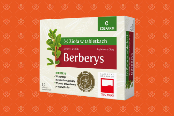 Colfarm Berberys 60 tabletek – wyciąg z berberysu, siarczan berberyny, 150 mg berberyny w tabletce