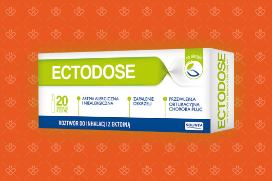Ectodose inhalacje 20 ampułek