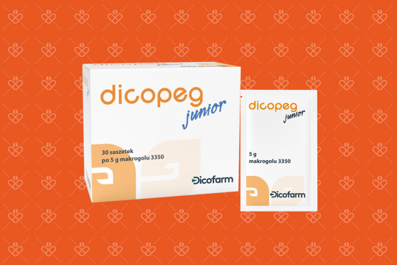 Opakowanie Dicopeg Junior 30 saszetek po 5 g makrogolu 3350
