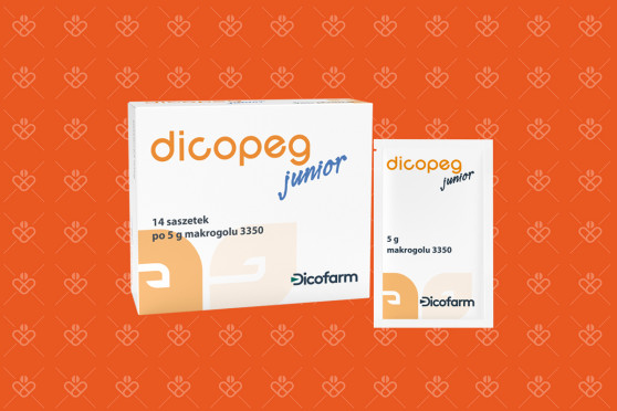 Opakowanie Dicopeg Junior 14 saszetek po 5 g makrogolu 3350