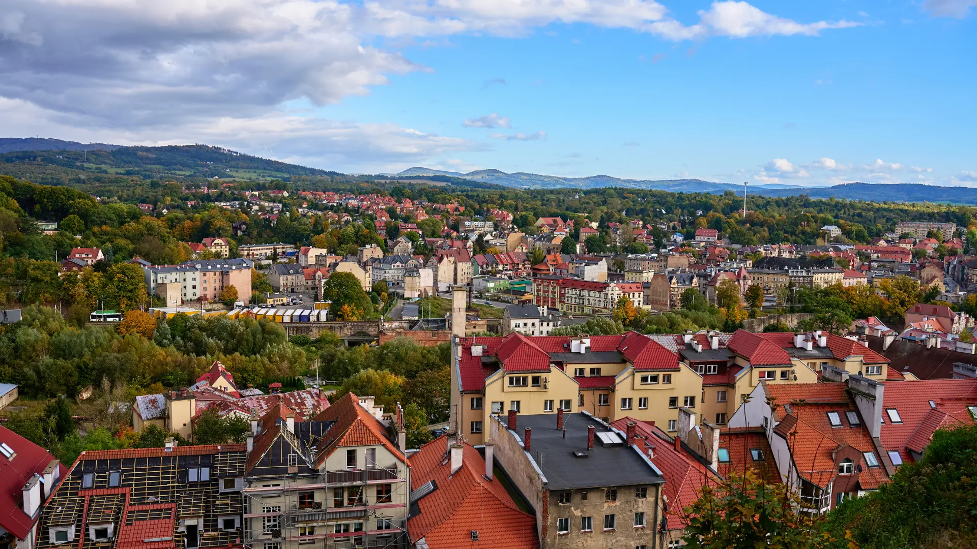 apteka zielona góra