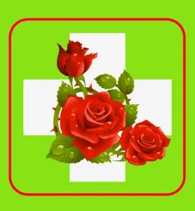 Apteka Różana Logo